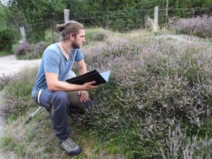 Das Monitoring von Flora und Fauna in den Flächen nimmt eine zentrale Rolle in der Arbeit der ÖGE ein. Foto: Lisa Giese